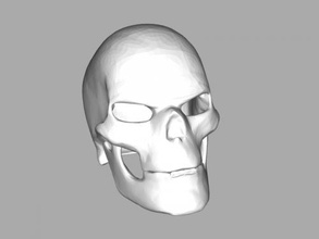 crânio arte escultura 3d print model - Mito3D