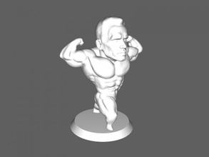 arnie toys people 3d print model - Mito3D