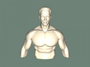 arnold schwarzenegger torso free 3d model - download stl file Art Sculpture role t-800 3d print model - Mito3D