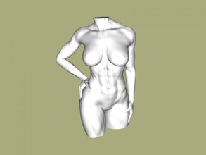 atletico ragazza torso arte scultura 3d print model - Mito3D
