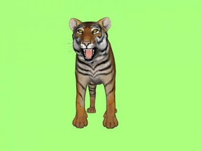 tigre de bengala libre modelo 3d - descargar archivo obj Los juguetes A los animales rara peligroso depredador 3d print model - Mito3D