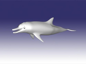 golfinho brinquedos animais 3d print model - Mito3D