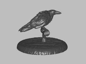 nero corvo giocattoli animali 3d print model - Mito3D