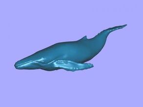 bleu baleine obj jouets animaux 3d print model - Mito3D