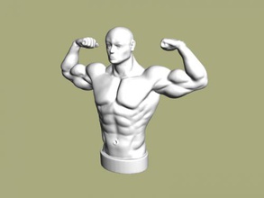 bodybuilder torso kunst skulptur 3d print model - Mito3D