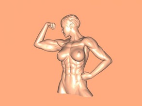 bodybuilder torso kunst skulptur 3d print model - Mito3D