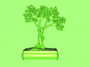 bonsai baum zuhause haus innere 3d print model - Mito3D