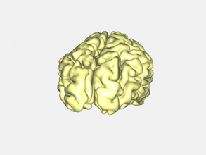 brain art sculpture 3d print model - Mito3D