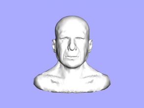bruce willis bust free 3d model download stl dosyası Sanat Heykel büst ünlü aktör dosya 3d print model - Mito3D
