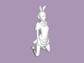 bunny girl obj toys people 3d print model - Mito3D