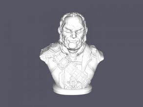 bust of captain toys cartoons 3d print model - Mito3D