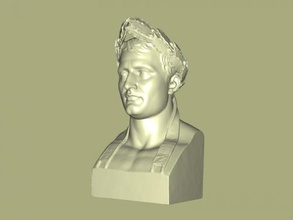 Napolyon büstü free 3d model download stl dosyası Sanat Heykel büst komutan dosya yetenekli 3d print model - Mito3D
