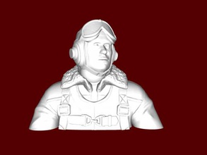bust of pilot toys people 3d print model - Mito3D