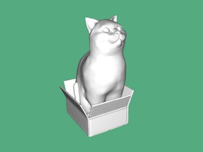 kedi in kutu oyuncaklar hayvanlar 3d print model - Mito3D