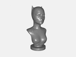 catwoman buste obj art sculpture 3d print model - Mito3D