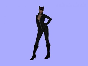 catwoman obj toys people 3d print model - Mito3D