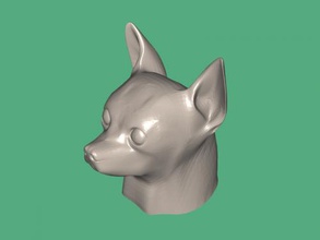 chihuahua kopf spielzeuge tiere 3d print model - Mito3D