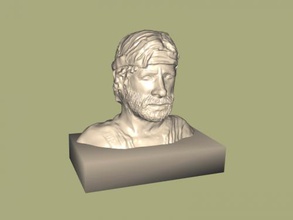 mandrin norris buste obj art sculpture 3d print model - Mito3D