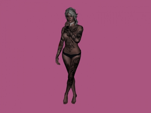 ciri obj brinquedos jogos 3D print model - Mito3D