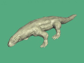 comodo dragon free 3d model - download obj file Toys Animals largest living species lizard 3d print model - Mito3D