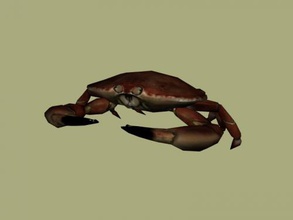Krabbe Kostenlose 3d-Modell - download obj-Datei Spielzeug Tiere Tier Krallen 3d print model - Mito3D