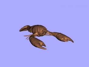lagostim livre modelo 3d - baixar arquivo obj Brinquedos Animais artrópodes grandes garras 3d print model - Mito3D