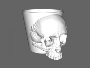 tazza cranio casa cucina 3d print model - Mito3D