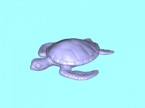 dettagliata tartaruga giocattoli animali 3D print model - Mito3D