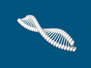 dna free 3d model - download stl file Art Sculpture molecule contains instructions organism needs develop live reproduce 3d print model - Mito3D