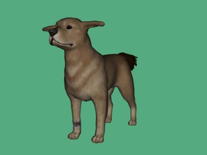 Hund Kostenlose 3d-Modell - download obj-Datei Spielzeug Spiele fremden Spiel alan wake 3d print model - Mito3D