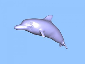 dauphin obj jouets animaux 3d print model - Mito3D