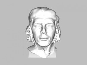 ernesto guevara arte scultura 3d print model - Mito3D