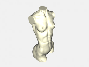 femelle corps art sculpture 3d print model - Mito3D