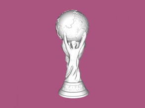 fifa world cup sport accessories 3d print model - Mito3D