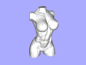 passen weiblich torso kunst skulptur 3d print model - Mito3D