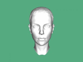 furiosa cabeza libre modelo 3d - descargar archivo obj Art Escultura soldado de mad max 3d print model - Mito3D