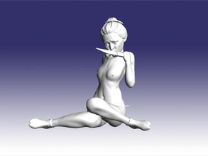 geisha obj juguetes personas 3d print model - Mito3D