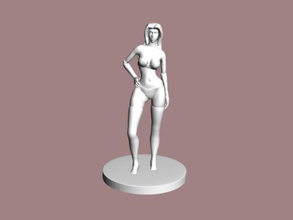 fille in lingerie jouets 3d print model - Mito3D