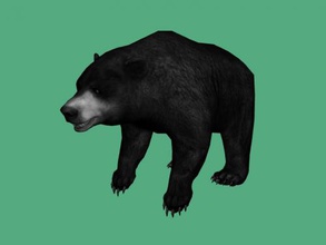 grizzly orso obj giocattoli animali 3d print model - Mito3D