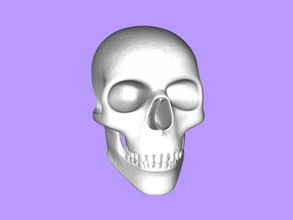 crânio arte escultura 3d print model - Mito3D