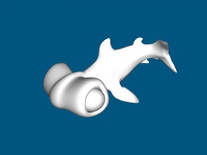 hammerhead shark free 3d model - download stl file Toys Animals pretty cute baby 3d print model - Mito3D