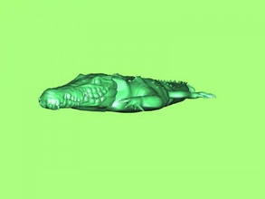 caché alligator obj jouets animaux 3d print model - Mito3D
