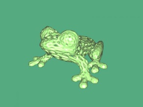 holey frog toys animals 3d print model - Mito3D