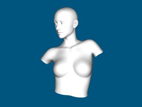 hollow busto gratuita modello 3d - scaricare il file obj Art La scultura di base ragazza 3d print model - Mito3D