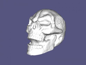 hollow skull art sculpture 3d print model - Mito3D