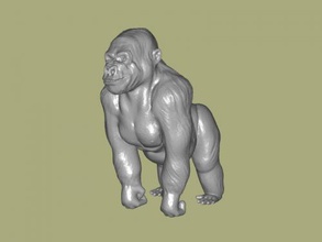 kocaman goril oyuncaklar hayvanlar 3d print model - Mito3D