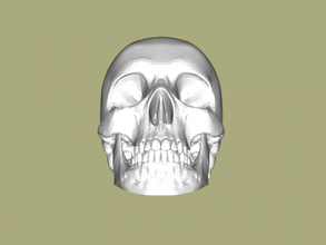 humano crânio arte escultura 3d print model - Mito3D