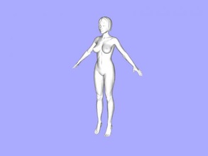 ideal woman toys people 3d print model - Mito3D