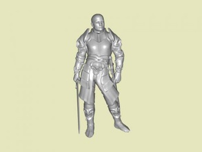 caballero in armadura juguetes personas 3d print model - Mito3D