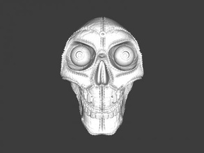 le cuir du crâne gratuit modèle 3d - télécharger fichier obj Art La Sculpture effrayant yeux de 3d print model - Mito3D